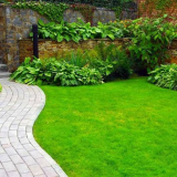 Jak udělat trávník: druhy, příprava, přistání, péče